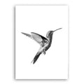 Nordic Minimalist Hummingbird Art Print Canvas Painting Living Room Black and White Posters Wall Art Pictures Scandinavian Decor